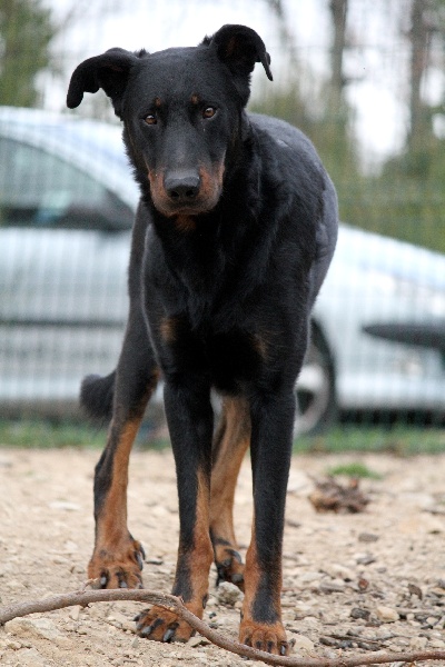 Elite Du val des quatre reines
